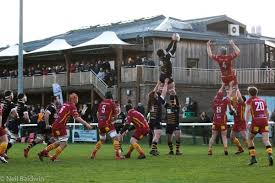 Image result for Old Albanian Rugby Football Club