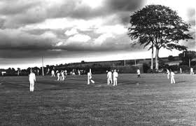Image result for The Paddock Cricket Club