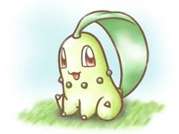 Image result for Endivie