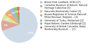 Attēlu rezultāti vaicājumam “Thamnobryum subserratum”