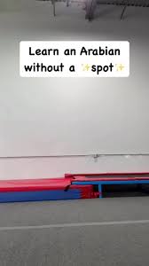 Image result for Arabian School Of Gymnastics
