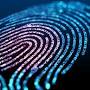 sca_esv=16ed921c8ce5d289 How long does it take to get fingerprints back from IdentoGO ny from dos.ny.gov