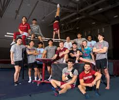 Image result for Arun Gymnastics Club