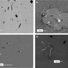 Attēlu rezultāti vaicājumam “Craterium aureonucleatum”