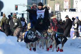 Image result for Team Ice Fire British Sled Dog Racing Team
