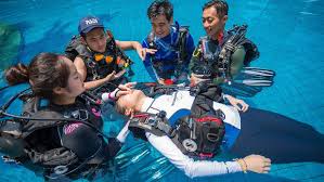 Image result for Dive Crew Scuba Diving