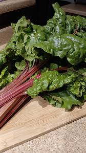 Attēlu rezultāti vaicājumam “Rheum rhabarbarum fruit”