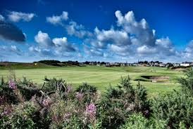 Image result for Vale Of Leven Golf Club