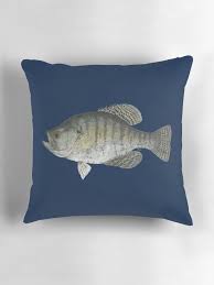 Image result for Pomoxis annularis