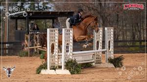 Image result for Reading University Riding Club