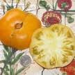 Afbeeldingsresultaat voor blushing yellow tomato