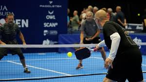 Image result for The Pickleballers UK