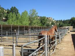 Image result for Palmers Riding Stables