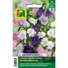 Image result for Marienglockenblumen