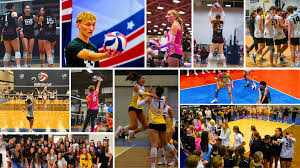 Image result for Tendring Volleyball Club