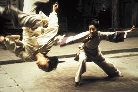 Image result for kung fu