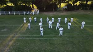 Image result for Seiki Juku Karate Club