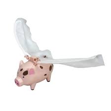 Image result for flying pigs