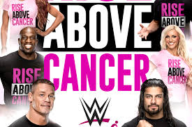 Image result for Rise Above Wrestling