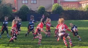 Image result for Pontardawe Rugby Football Club