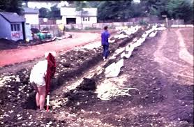 Image result for Thaxted Bowling Club