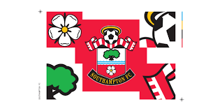 Image result for Southampton Stags