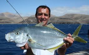 Image result for Pseudocaranx dentex