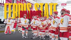 Image result for Demons Skater Hockey Club