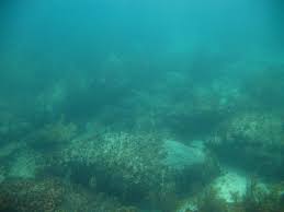 Image result for дорога Бимини