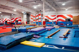 Image result for Northern Gymnastics Club CIC