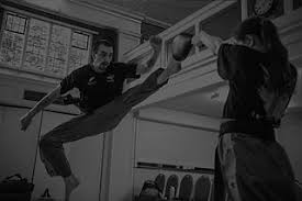 Image result for ZOKU SHOTOKAN KARATE (Baldock)