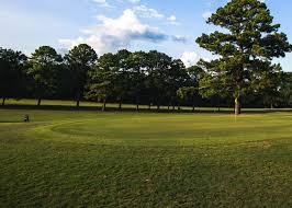 Image result for Roebuck Bowling Club