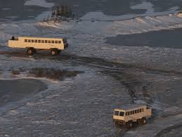 Image result for tundra buggy