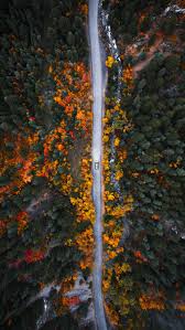 Image result for $$fall_akte__ort$$