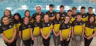Image result for Swindon Dolphins