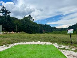 Image result for Ashville College Disc Golf Club