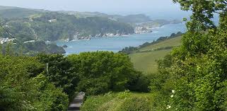 Image result for Combe Martin A F C