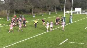 Image result for Novocastrians Rugby Football Club