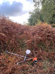 Image result for Wells & District Trials Club