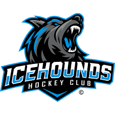 Image result for Tenbury Hockey Club