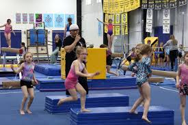 Image result for Focus Institute of Gymnastics
