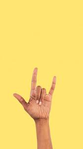 Image result for illuminati hand sign