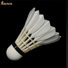 Image result for Shuttlecocks Badminton Club