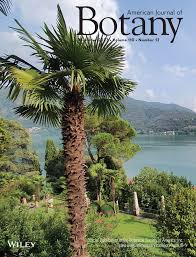 Attēlu rezultāti vaicājumam “Gymnostomum calcareum macro”