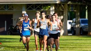 Image result for 243 Diving Club