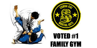 Image result for Association Of Sport Martial Arts