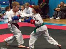 Image result for Junsui Shotokan Karate Do