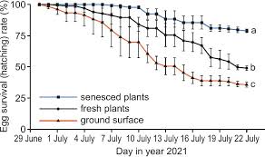 Attēlu rezultāti vaicājumam “Lacanobia contigua larva”