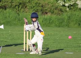Image result for Walmley Cricket Club