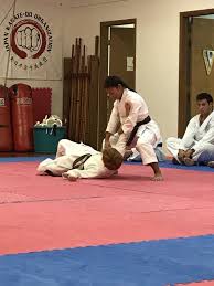 Image result for Shitokai Karate Club
